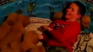 Мальчишку затоптали щенята - смотреть видео (3:20)