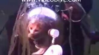 Кот-аквалангист - смотреть видео (3:00)