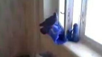 Очень наглые соседи - смотреть видео (0:46)