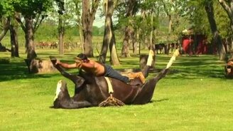 Дружба лошади и человека - смотреть видео (3:06)