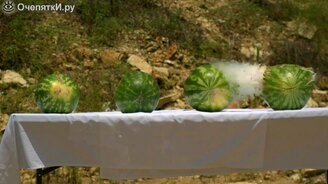 Стрельба по арбузам - смотреть видео (3:15)