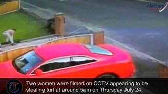 Своровали газон - смотреть видео (1:38)