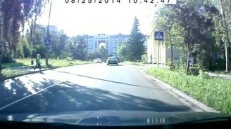 Пернатый попутчик - смотреть видео (0:32)