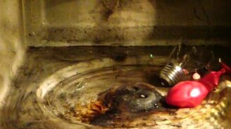 Газовый шар и лампочка в микроволновке - смотреть видео (0:53)