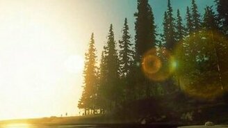 Красота хвойного леса - смотреть видео (1:22)