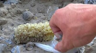 Спас воробья - смотреть видео (0:33)