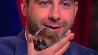 Ведущий против лемура - смотреть видео (0:56)