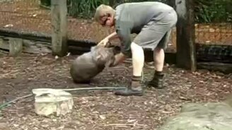 Приласкай же меня, человек! - смотреть видео (1:41)