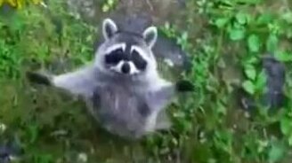 Ну давай обнимемся! - смотреть видео (0:27)