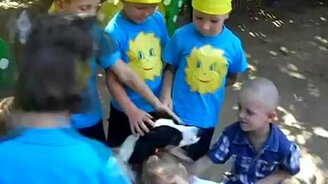 Умный и добрый пёс выступает перед детьми - смотреть видео (4:16)