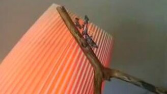 Богомол вместо мухобойки - смотреть видео (0:55)