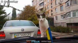 Мировые русские и нерусские приколы - смотреть видео (14:21)