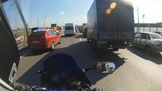 Газель-попрыгунья - смотреть видео (0:20)