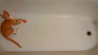 Котёнок и мячик в ванной - смотреть видео (0:59)