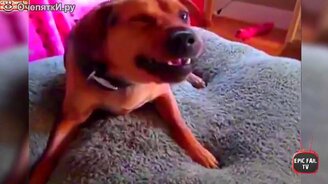 Подборка провалов и курьёзов - смотреть видео (4:03)