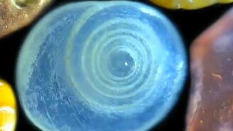 Гранулы песка вблизи - смотреть видео (1:35)