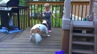 Девочка и собака резвятся - смотреть видео (0:21)