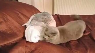 Мастер коварного нападения - смотреть видео (0:11)