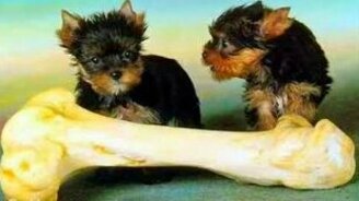 Простые мудрые житейские советы - смотреть видео (1:57)