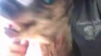 Этот ролик можно крутить вечно... - смотреть видео (0:06)