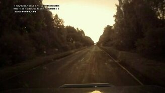 Живность на дороге - смотреть видео (1:23)