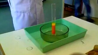 Впечатляющая реакция - смотреть видео (1:11)