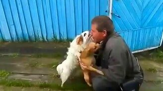 Собачья искренняя радость - смотреть видео (1:12)