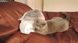 Нарезка весёлых приколов - смотреть видео (5:18)