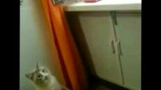 Кто же там лежит? - смотреть видео (0:44)