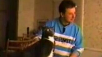 Говорящие коты - смотреть видео (1:11)