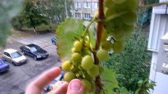 Необычная обыденность в обратном порядке 5 - смотреть видео (1:31)