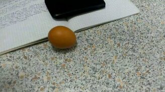 Странное куриное яйцо - смотреть видео (0:15)