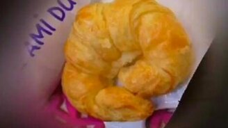 Кошки как круассаны - смотреть видео (0:58)