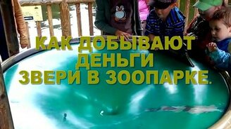 Как в зоопарке деньги зарабатывают - смотреть видео (0:28)