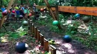 Эффект маятника на примере шаров - смотреть видео (2:58)