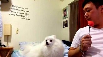 Не смотри, как я ем! - смотреть видео (0:54)