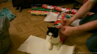 Упаковываем подарок на Рождество - смотреть видео (1:44)