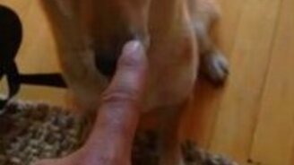 Это ты съела сыр? - смотреть видео (0:20)