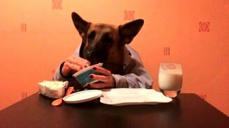 Псина обедает при помощи рук - смотреть видео (1:01)