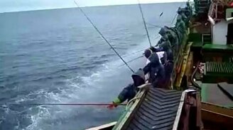 Как промысловики тунца ловят - смотреть видео (4:03)