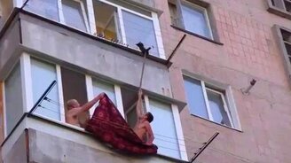 Парни спасают котёнка - смотреть видео (0:29)