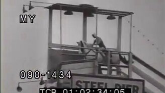 Ныряющая лошадь - смотреть видео (0:41)