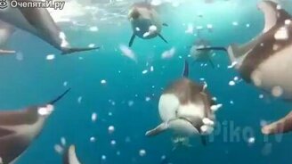 Смешные и захватывающие моменты - смотреть видео (6:46)