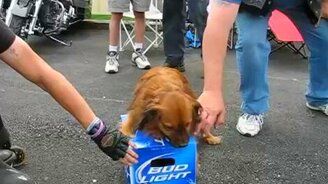 Это моя прелесть! - смотреть видео (0:25)