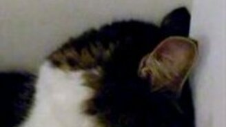 Я на вас обиделась! - смотреть видео (0:26)