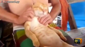 Смешные и неудачные забавности - смотреть видео (4:30)