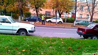 Осень - пора косить листья - смотреть видео (0:30)