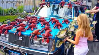 Забавности и весёлые ситуации - смотреть видео (8:40)