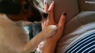 Гладь меня полностью! - смотреть видео (0:51)