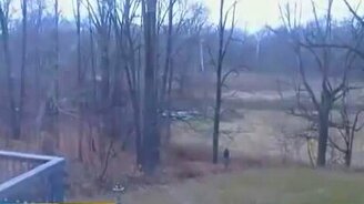 Неудачно спилили дерево - смотреть видео (0:27)